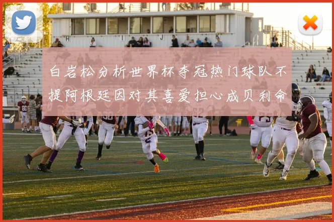 白岩松分析世界杯夺冠热门球队不提阿根廷因对其喜爱担心成贝利命运