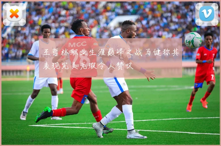 王哲林职业生涯巅峰之战马健称其表现完美无瑕令人赞叹